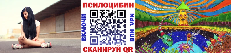 Купить где  Славгород  Псилоцибиновые грибы GOLDEN TEACHER 